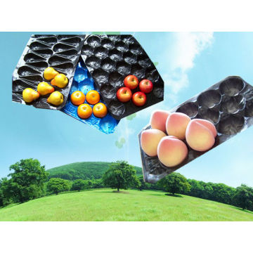 39X59cm Fresh Produce Packaging Tray